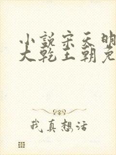 小说宋天明穿越大乾王朝免费阅读