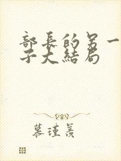 部长的另一位妻子大结局封面