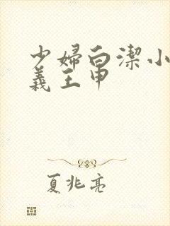 少妇白洁小说高义王申封面