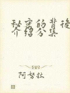 秘密的背后剧情介绍分集封面