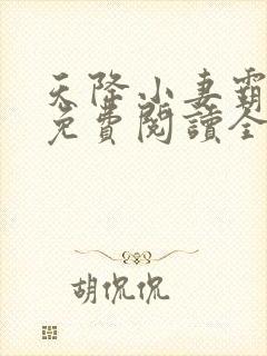 天降小妻霸道宠免费阅读全文