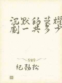 沉默的荣耀电视剧一共多少集