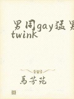 男同gay猛男twink封面