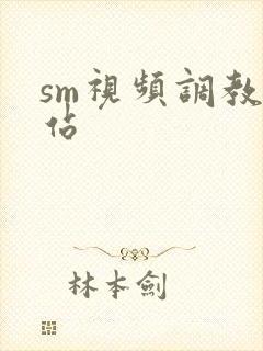 sm视频调教网站