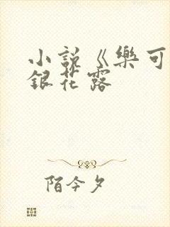 小说《乐可》金银花露封面