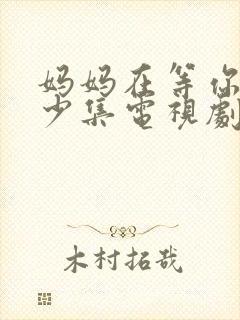 妈妈在等你有多少集电视剧