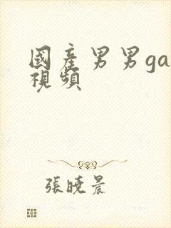 国产男男gay视频