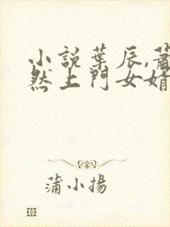 小说叶辰,萧初然上门女婿