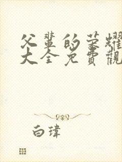 父辈的荣耀影视大全免费观看