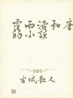 霍雨浩和唐舞桐的小说