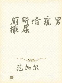 厕所偷窥男同志撒尿