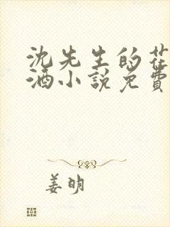 沈先生的花式调酒小说免费阅读