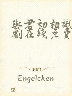 与君初相识电视剧在线免费观看全集封面
