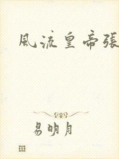 风流皇帝张无忌封面