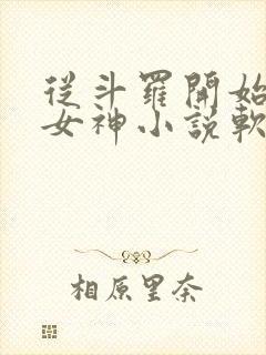 从斗罗开始俘获女神小说软件