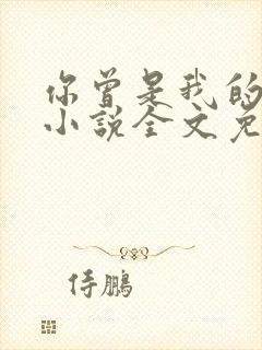 你曾是我的唯一小说全文免费阅读封面