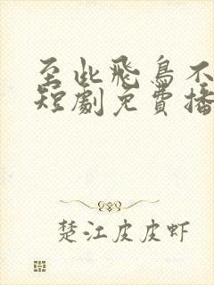 至此飞鸟不相逢短剧免费播放