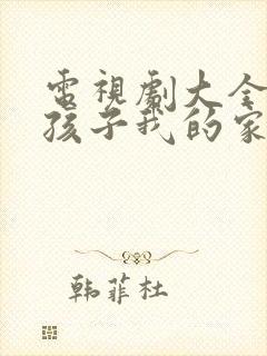 电视剧大全我的孩子我的家