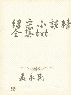 绍宋小说精校版全集txt