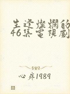 生逢灿烂的日子46集电视剧免费