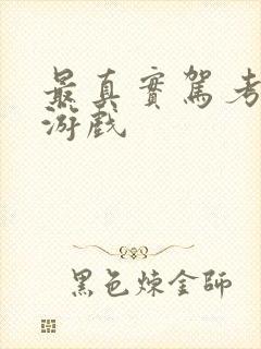 最真实驾考模拟游戏