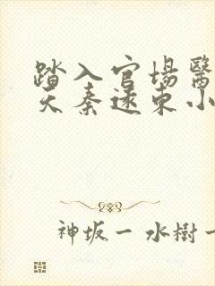 踏入官场医道问天秦远东小说最新章节封面