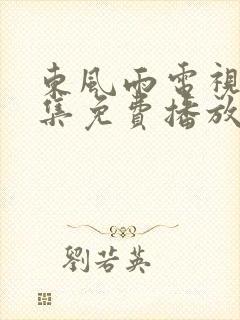 东风雨电视剧全集免费播放封面