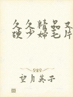 久久精品又粗又硬少妇毛片