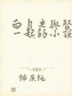 白月光与替身在一起的小说双男主