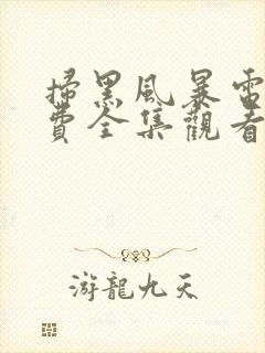 扫黑风暴电影免费全集观看高清封面