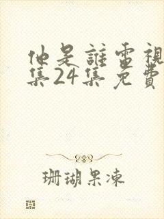 他是谁电视剧全集24集免费播放