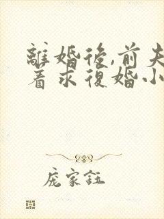 离婚后,前夫哭着求复婚小说正版