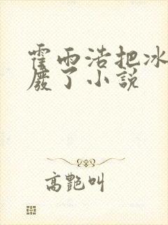 霍雨浩把冰帝腰废了小说封面
