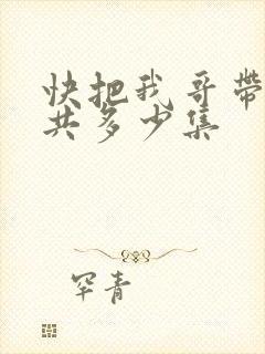 快把我哥带走一共多少集