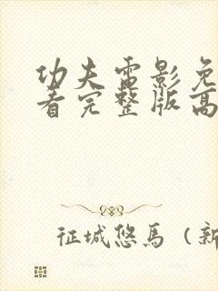 功夫电影免费观看完整版高清国语封面