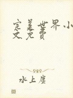 完美世界小说全文免费封面