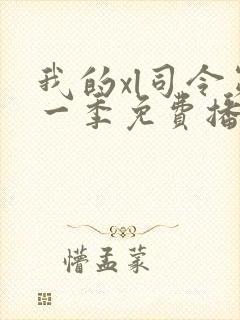 我的xl司令第一季免费播放