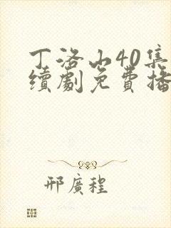丁洛山40集连续剧免费播放