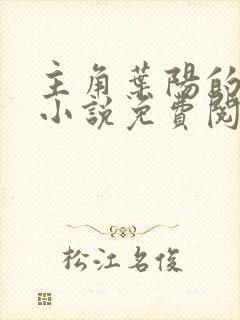 主角叶阳的官场小说免费阅读封面