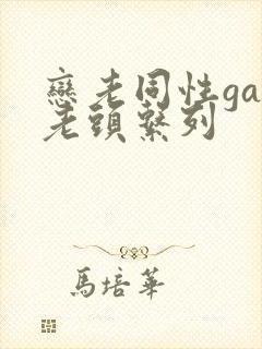 恋老同性gay老头系列封面