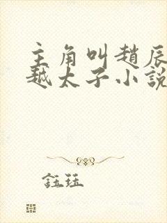 主角叫赵辰的穿越太子小说