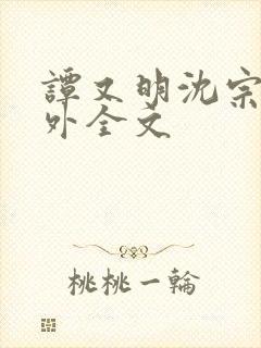 谭又明沈宗年番外全文