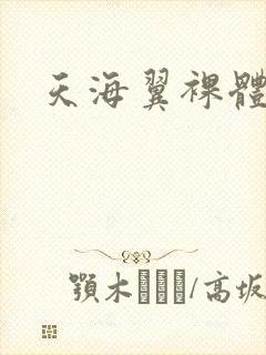 天海翼裸体艺术封面