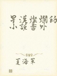 星汉灿烂的原著小说番外