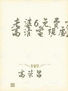 老婆6免费完整高清电视剧在线观看