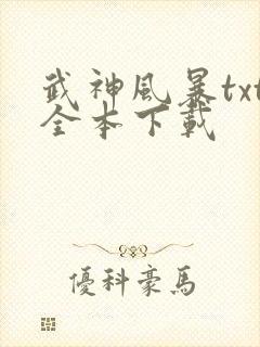 武神风暴txt全本下载