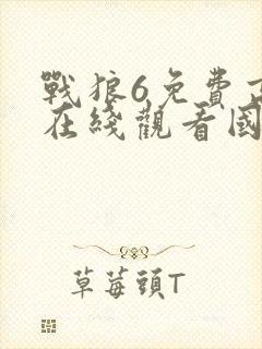 战狼6免费高清在线观看国语封面