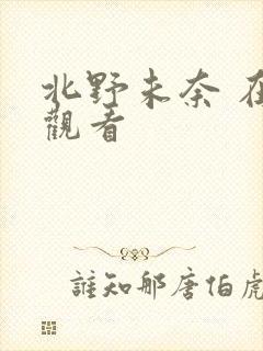 北野未奈 在线观看封面