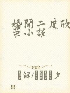 婚开二度欣欣向荣小说