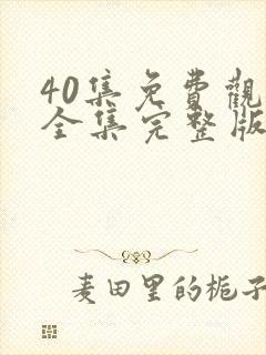 40集免费观看全集完整版电视剧